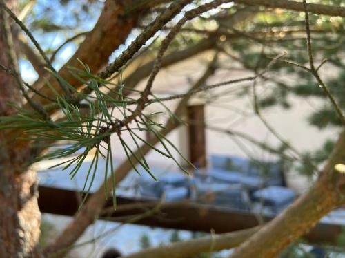 Φωτογραφία από το άλμπουμ του Holiday home Palo santo σε Gospić