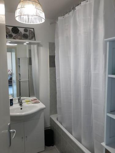 une salle de bain avec un lavabo et un rideau de douche dans l'établissement Appartement à Royan avec accès piscine, à Royan
