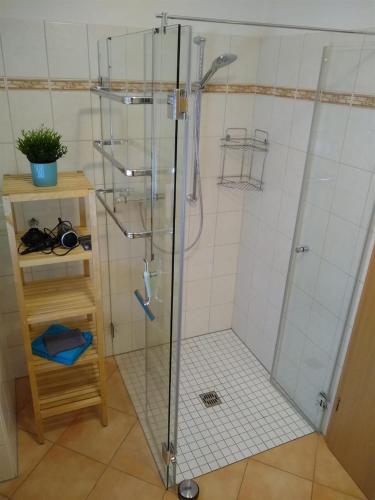 a shower with a glass door in a bathroom at Ferienwohnungen Op der Kees in Irsch