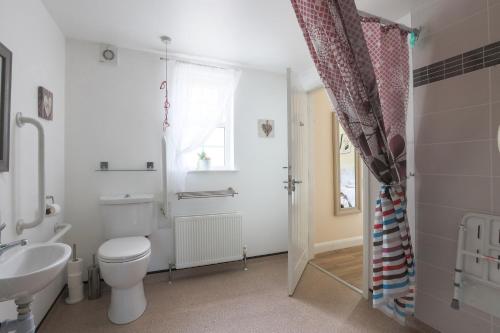 een witte badkamer met een toilet en een wastafel bij GlenHaven Holiday Accommodation in Glenariff