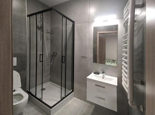 Sufczyn的住宿－Noclegi URAN，带淋浴、卫生间和盥洗盆的浴室