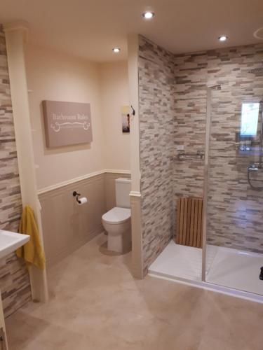 La salle de bains est pourvue de toilettes et d'une douche en verre. dans l'établissement SWIFT HALF, à Ballyconnell