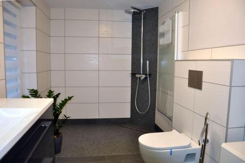a bathroom with a shower and a toilet and a sink at -Haus am Wäldchen- in Zehdenick