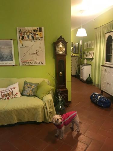 Galeriebild der Unterkunft Casa Giulia in Vigliano d'Asti