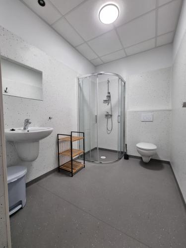 een badkamer met een douche, een wastafel en een toilet bij Pokoje CMK in Karpacz