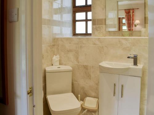 a bathroom with a toilet and a sink and a mirror at The Carriages in Sidbury