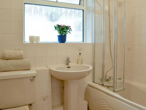 ein Bad mit einem Waschbecken, einer Dusche und einem Fenster in der Unterkunft Clip Clops in Findon