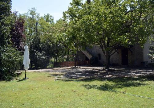 a yard with a tree and an umbrella at Casa Vacanze Cascina Campagnola in Pozzolengo
