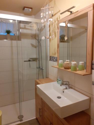 a bathroom with a sink and a shower at Ferienwohnung Henker in Bad Schandau