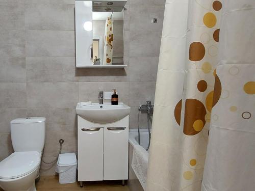 y baño con aseo, lavabo y ducha. en Яровиця з Кондиціонером,Центр, en Lutsk