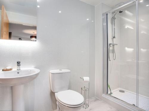 a bathroom with a toilet and a sink and a shower at Orchard House - Uk40946 in Auchtermuchty