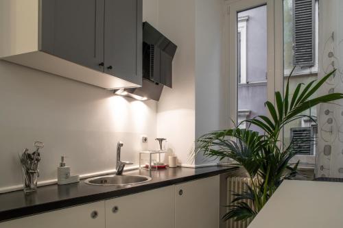 a kitchen with a sink and a plant at Intra' Residenza in Trastevere in Rome