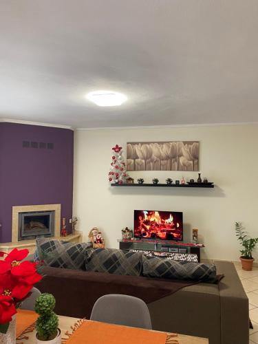 Bakopoulos resort.Ενα όμορφο διαμέρισμα με τζάκι في تريكالا: غرفة معيشة مع أريكة وتلفزيون