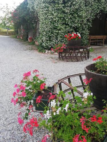 a garden with flowers and a table and benches at Agriturismo con Cucina tipica Nuova Scardua in Cavriana