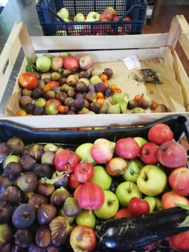 two boxes filled with different types of fruits and vegetables at Agriturismo con Cucina tipica Nuova Scardua in Cavriana