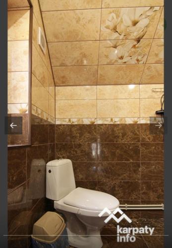 a bathroom with a toilet and a tiled wall at Dva Opryshka in Yaremche