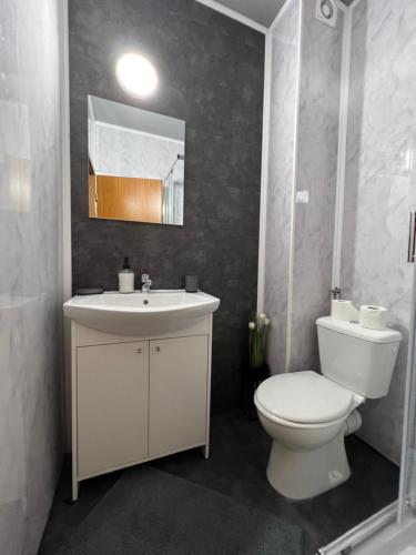 a bathroom with a toilet and a sink and a mirror at PENSIUNEA UNO in Timişoara