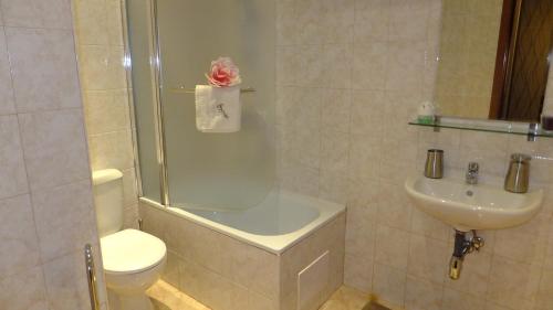 バンスコにあるBansko Prespa Ski Penthouseのバスルーム(シャワー、トイレ、シンク付)