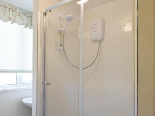 Tynlon Villa في Bronant: دش في حمام مع باب زجاجي