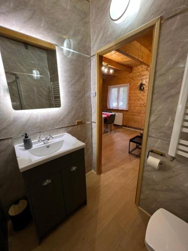 ein Badezimmer mit einem Waschbecken, einem Spiegel und einem WC in der Unterkunft Orzechowy Zakątek in Zbiczno