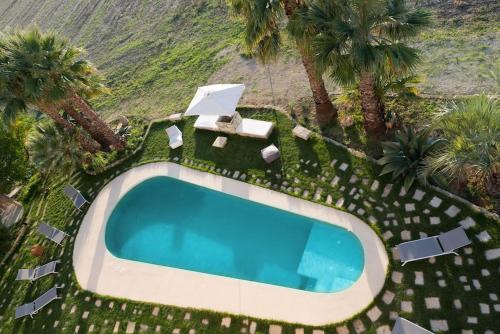 una vista sul tetto di una piscina con sedie e palme di Old Villas Greco 1888 luxury swimming pool a Cutrofiano
