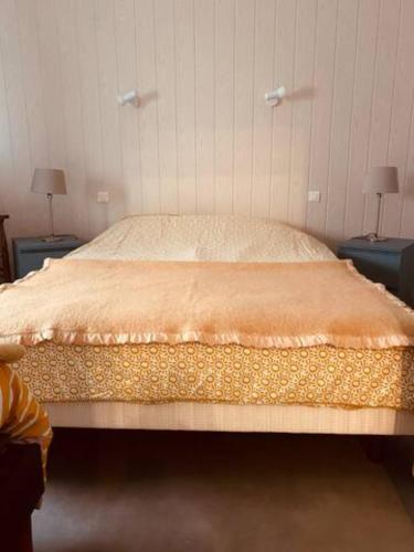 a large bed in a room with two tables and two lamps at Appartement Centre ville in Millau