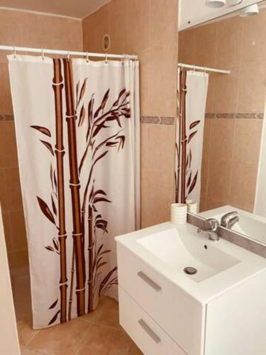 a bathroom with a shower curtain and a sink at Appartement Centre ville in Millau