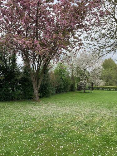 a park with a tree with pink flowers on it at Le Nalousie in Livry