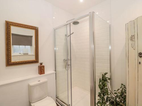 a bathroom with a shower and a toilet and a mirror at Cheviot View in Cornhill-on-tweed