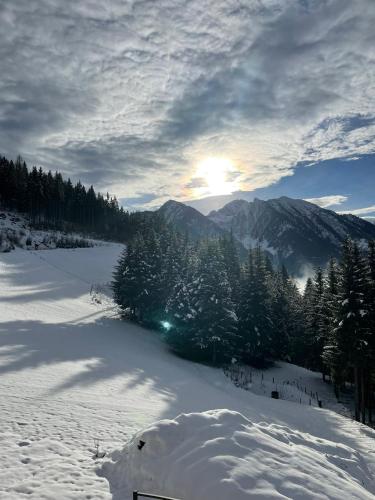 a snow covered slope with trees and the sun in the distance at Taurachhof Astlehen in Alpendorf