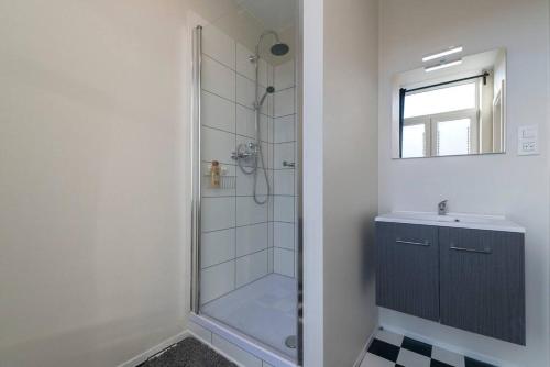 uma casa de banho com um chuveiro e um lavatório. em Appartement 4 chambres à Liège em Liège