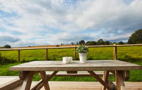 a wooden table with two candles and a plant on it at The Old Dairy - Boutique Countryside Cottage at Harrys Cottages in Pen y Clawdd