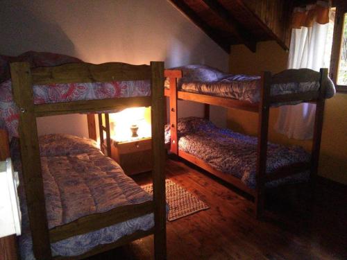 een slaapkamer met twee stapelbedden in een kamer bij Hostel Casona Alameda in El Bolsón