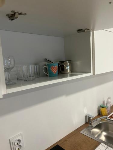 a kitchen counter with a sink and a shelf with dishes at Apartmani "Stari Grad - Samobor" in Samobor