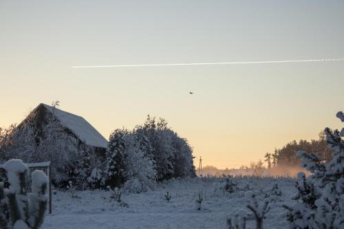 a field covered in snow with a building and trees at Agroturystyka Kociewiak in Szteklin