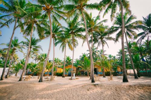 a row of palm trees on a sandy beach at orange sky beach bungalow in Agonda
