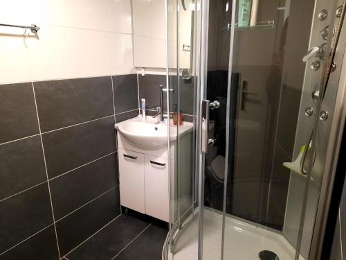 a bathroom with a sink and a shower at Erholungsheim im Wienerwald in Irenental
