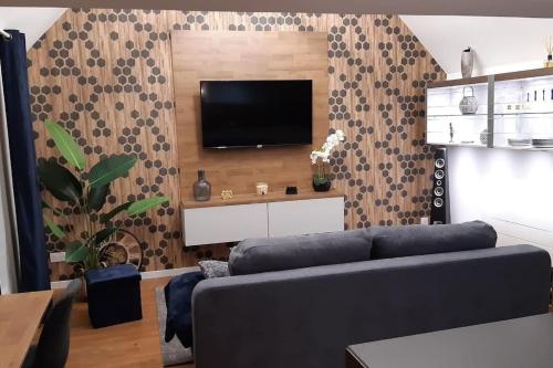 Μια τηλεόραση ή/και κέντρο ψυχαγωγίας στο Loft in Yvetot