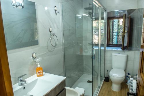 y baño con ducha, aseo y lavamanos. en Casa La Portilla a 6Km de Cabarceno WIFI, en Esles