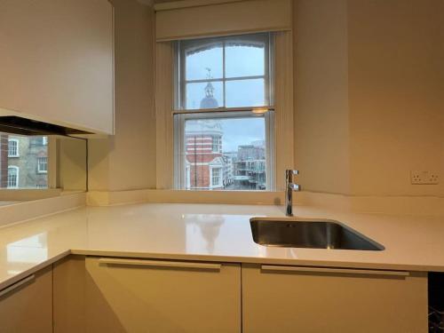 une cuisine avec un évier et une fenêtre dans l'établissement Modern flat near Oxford Street, à Londres