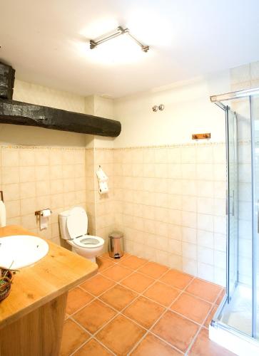 a bathroom with a toilet and a sink at Casa rural ALBIRENA in Arraiz-Orquín