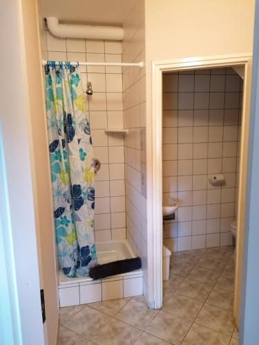 a bathroom with a tub and a shower curtain at NAPSUGAR VENDÉGHÁZ in Bogács