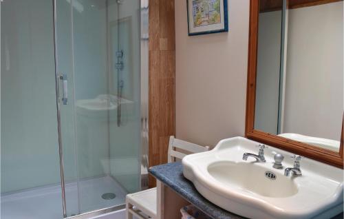 La salle de bains est pourvue d'un lavabo et d'une douche en verre. dans l'établissement Gites Des Blanchiries, à Aubin-Saint-Vaast