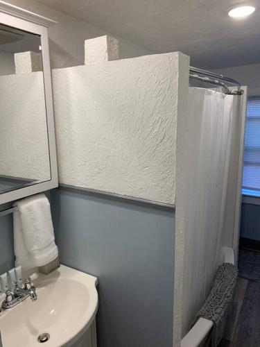 a bathroom with a white sink and a shower at Trip6 Historic Brick Home in Helena
