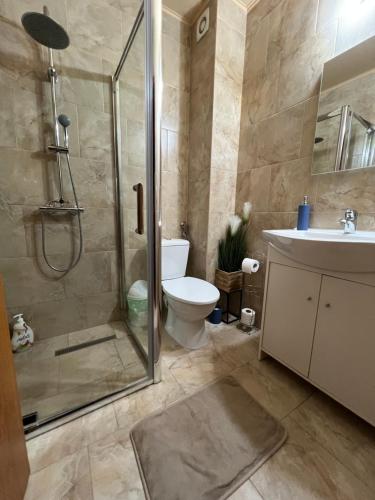 a bathroom with a shower and a toilet and a sink at PENSIUNEA UNO in Timişoara