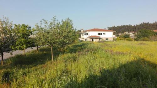 uma casa no meio de um campo de relva em Casa do Senhor da Ponte em Gondifelos