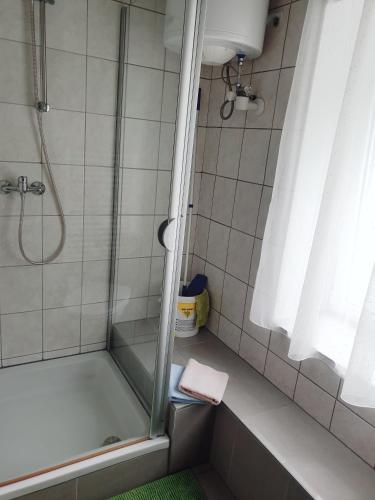 a bathroom with a shower with a glass door at Lerchenhof in Friesach