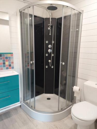 uma cabina de duche em vidro numa casa de banho com WC em HAUT JURA 