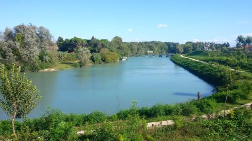 a view of a river with trees in the distance at BORGO 1 in Noventa di Piave