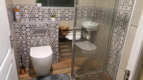 a bathroom with a toilet and a glass shower at Elim self catering in Fisherhaven